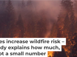 A record-tying heat wave helped spread a wildfire in Northern California’s Shasta and Trinity counties in July 2018. Terray Sylvester/Getty Images